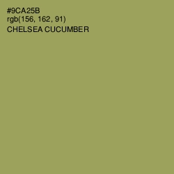 #9CA25B - Chelsea Cucumber Color Image